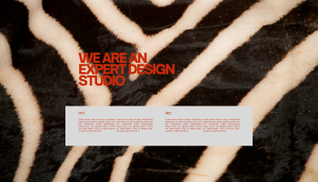 We Are An Expert Designer Studio